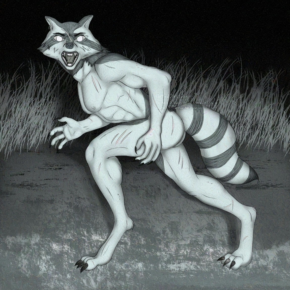 Arthsona but Wereraccoon O.O